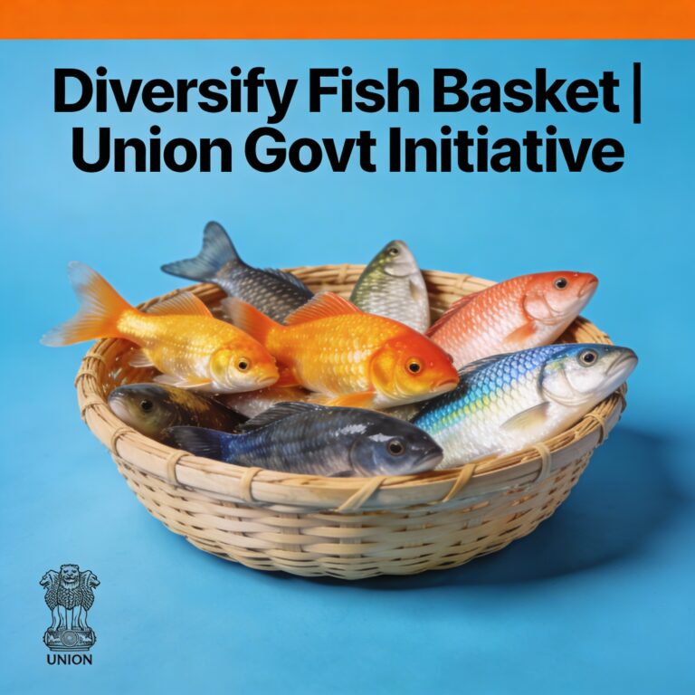 b_Diversify_fish_baske